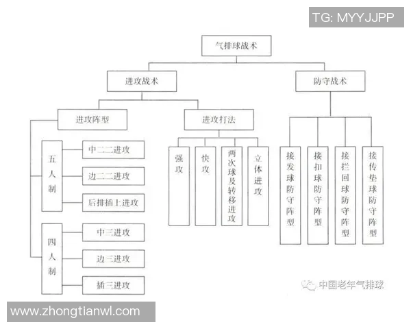 深圳排球队区域防守策略解析与深度剖析排球战术的奥秘